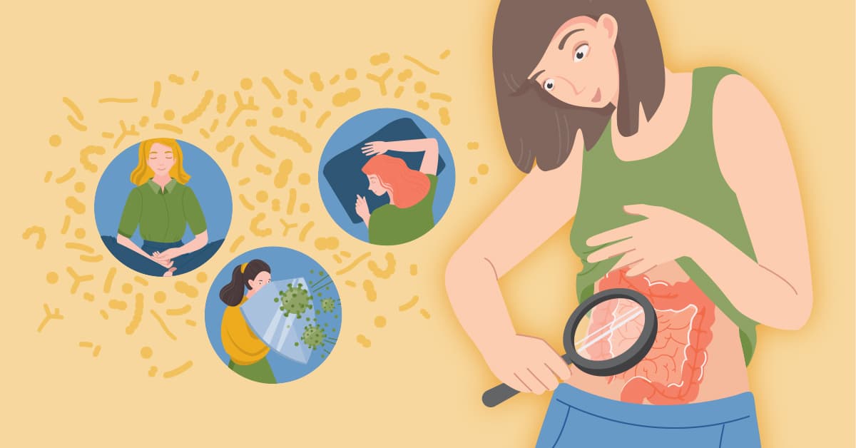 Gut health and digestive wellness — chiropractic and enzyme nutrition, Nektalov Chiropractic & Wellness, Forest Hills Queens NY