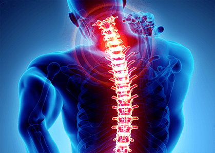 Spine and nervous system illustration — spinal health and disease connection, Forest Hills Queens NY