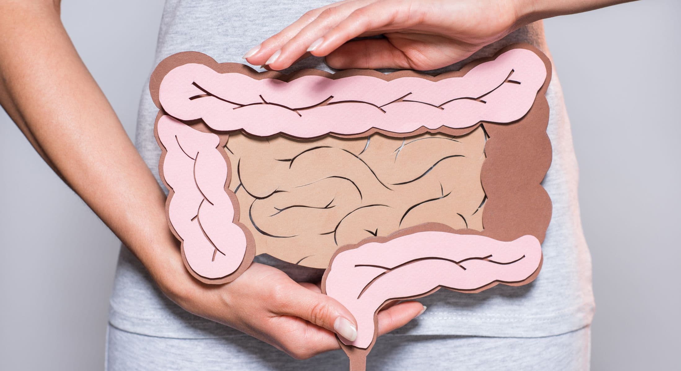 Gut microbiome and men's hormone health — Nektalov Chiropractic & Wellness, Forest Hills Queens NY